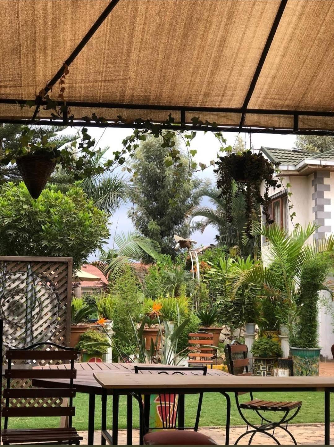 Plant House Ξενοδοχείο Ruiru Εξωτερικό φωτογραφία